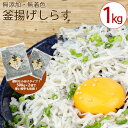 【ふるさと納税】漁師直送！釜揚げしらすちりめん　約1kg(500g×2) 10000円 しらす シラス 釜揚げしらす1kg 釜揚げシラス1kg 冷凍 しらす シラス 釜揚 釜揚げ 釜揚しらす 釜揚シラス 冷凍 お取り寄せ 御取り寄せ おとりよせ お取り寄せグルメ グルメ 食品 産地直送 新商品