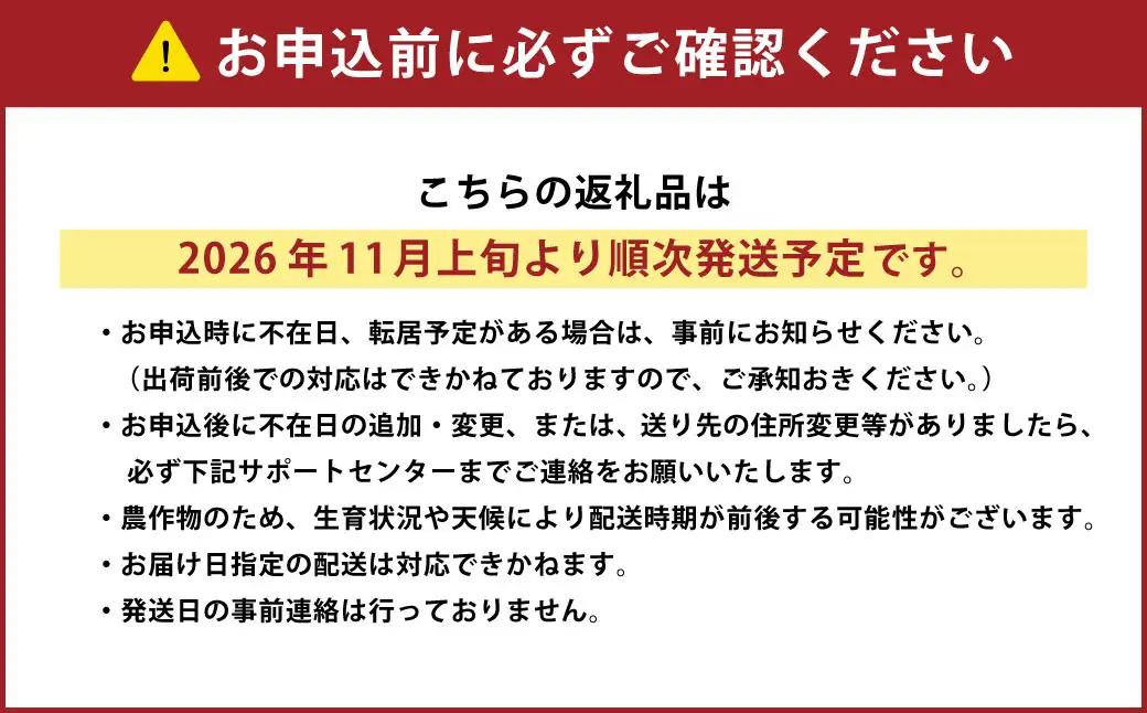 ［先行受付］おとふけ産マンゴー「白銀の太陽」Lサイズ×2玉【C40】《2026年11月上旬より発送開始予定》