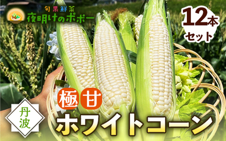 京都府産 極甘ホワイトコーン 12本（約4.5～5kg）【 とうもろこし トウモロコシ コーン ホイップコーン 季節の野菜 農家直送 旬 旬野菜 国産 野菜 朝採り 産地直送 期間限定 甘い コーン お取り寄せ 贈り物 ギフト 贈答 京都 綾部 】