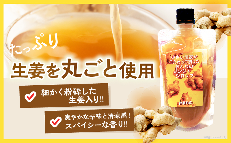都農町産ジンジャーシロップ(計1本) 生姜 加工品 国産_T024-013