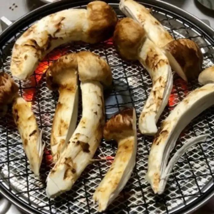 松茸 約200g～250g 諏訪市後山産 2026年9月下旬以降 配送 [67-03]