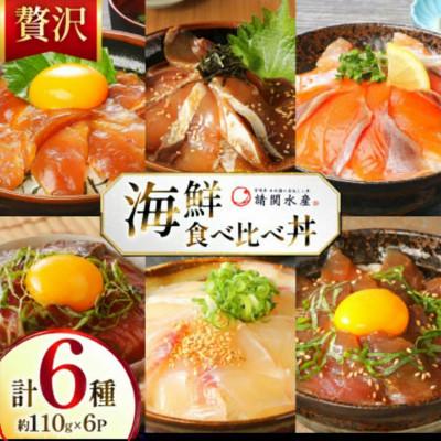 ふるさと納税 日向市 海鮮丼 6種 計660g(110g×6パック)贅沢食べ比べ