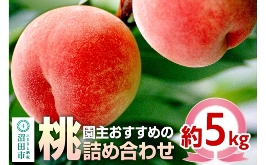 《7月上旬～7月下旬にお届け》 園主おすすめの桃 約5kg 詰め合わせ 早生品種 ご自宅用 フルーツ王国松井 [夏の味覚 夏の果物 夏のフルーツ 桃 もも モモ momo 旬物 ぴーち ピーチ peach お任せ おまかせ セット]