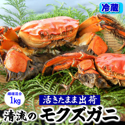 天然　活モクズガニ　約1kg　兵庫県新温泉町　【配送不可地域：離島・北海道・沖縄県・東北・九州】