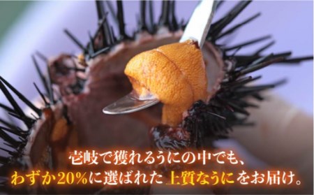 【全12回定期便】壱岐島産 老舗の厳選 おさだの生うに 2本セット [JAO020]   冷凍配送 九州