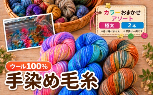 毛糸 ウール100％ 手染め毛糸 アソート 詰合わせ (極太) 2本 ｜  毛糸 ウール ウール100％ 手染め 裁縫 手芸 長野県 松川村 信州