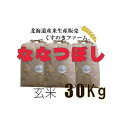 【ふるさと納税】【令和5年産】北海道岩見沢産くすのきファームのななつぼし玄米（30Kg）【34134】