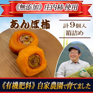 SA2823　令和7年産【有機肥料/自家栽培】　干し柿（庄内あんぽ柿）　9個入(3個×3袋)化粧箱入