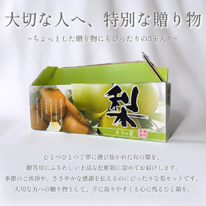 【先行予約】中野農園 梨 ”二十世紀梨” 3玉入り｜鳥取 岩美 梨 なし ナシ※お届けは2026年8月下旬以降【41024】