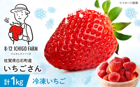 冷凍いちご（いちごさん）1kg 【8/12ICHIGOFARM】[IBR004]