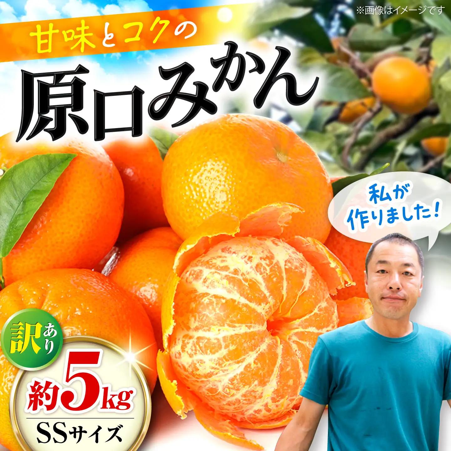 みかん【訳あり】 原口みかん 約5kg  [CCX009] 