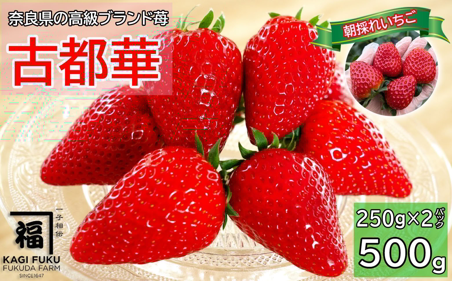 
            M-AH22.【数量限定】サイズおまかせ 古都華2パック
          