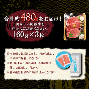 ヒレ ステーキ 3枚 セット 約 480g 冷凍 黒毛和牛 フィレ 希少部位  牛ヒレ肉