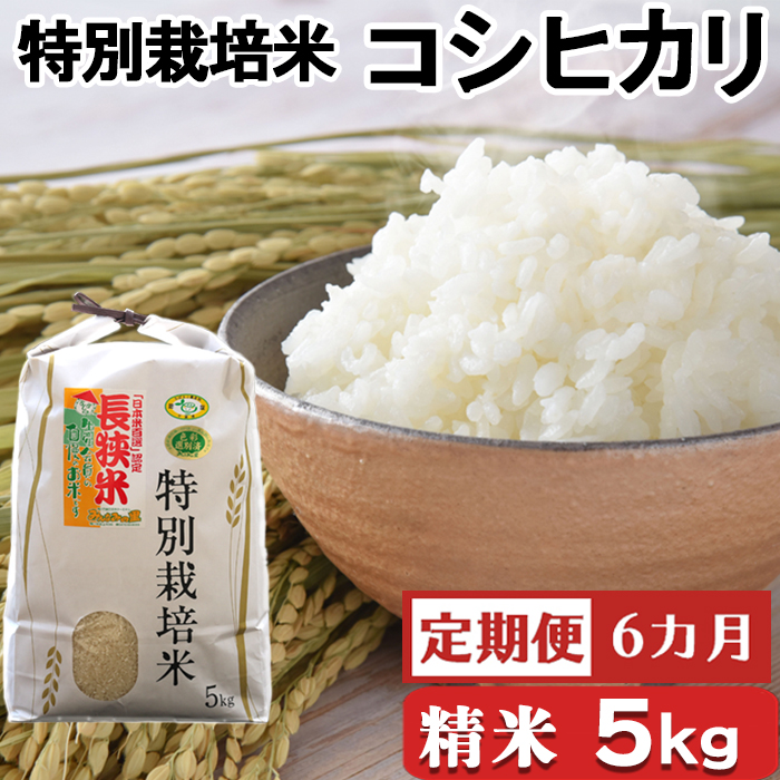 【定期便】【千葉県知事賞受賞】川名一将さんちの長狭米 特別栽培米コシヒカリ5kg×6カ月 [0096-0002]