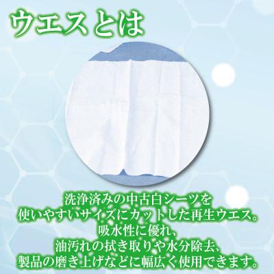 ふるさと納税 東みよし町 白シーツウエス |  | 01