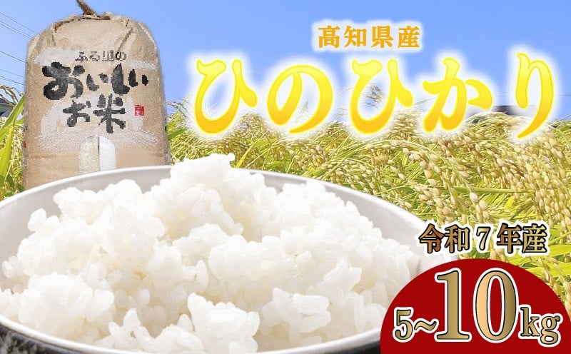 
                  【 令和7年度産 】 白米 5kg ～ 10kg ひのひかり 米 5キロ ～ 10キロ 精米 国産米 おこめ ヒノヒカリ 空海ゆかりの里 うまにの おいしい お米 産地直送 ふるさと納税米 ふるさと納税お米 2025年産 数量限定 こめ ごはん ご飯 おにぎり 自然 生産者 直送 特産 高知県 高知 黒潮町
                