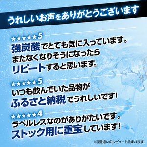富士山の天然水 強炭酸水500ml×24本入り炭酸水 炭酸 炭酸飲料 無糖 富士山 飲料水 送料無料 アイリスオーヤマ