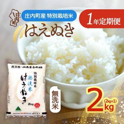 ふるさと納税 庄内町 【定期便】<令和8年産>特別栽培米 はえぬき 無洗米 2kg×1袋×1年間【10月中旬発送】
