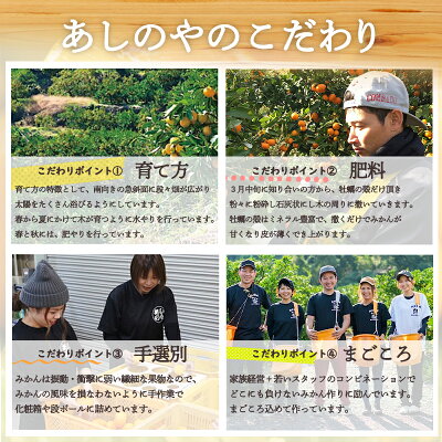 ZE6108n_【2026年先行予約】有田の不知火(しらぬひ) 【訳あり　家庭用】7.5kg 小玉（ S～Lサイズ混合）まごころ手選別