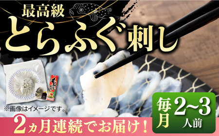 【全2回定期便】とらふぐ 刺身 （2?3人前）《壱岐市》【なかはら】[JDT065] ふぐ フグ 河豚 とらふぐ トラフグ 刺身 刺し身 ふぐ刺し フグ刺し とらふぐ刺し トラフグ刺し てっさ ふぐ刺身 とらふぐ刺身 60000 60000円 冷凍配送