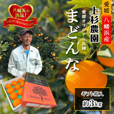 【ふるさと納税】ギフト対応化粧箱入・上杉農園のぷるぷる新食感!「マドンナ」約3kg【D39-16】_ マドンナ みかん ミカン 愛媛県 フルーツ 果物 くだもの 柑橘 かんきつ 人気 限定 産地直送 産直 ジューシー 甘い 果汁 糖度 大玉 【1251804】