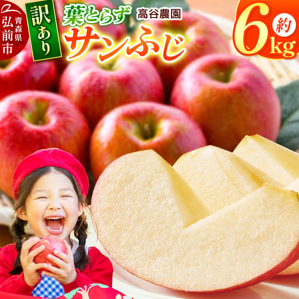 【26年11月～発送】りんご 葉とらず サンふじ【訳あり】約6kg 高谷農園 先行受付 家庭用 青森県 弘前市 果物 フルーツ 林檎 リンゴ くだもの 不揃い 規格外 [先行予約 産地直送 アップル おいしい 果実 美味 甘い 赤色]