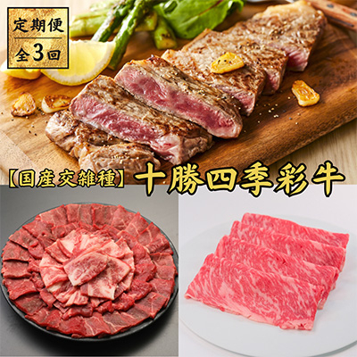 
                  ＜毎月定期便＞十勝四季彩牛　焼肉・すき焼き・ステーキセット 全3回【4012927】
                