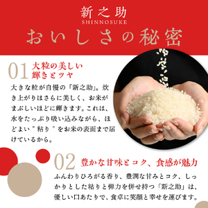 【2025年9月下旬発送】新潟県上越・妙高産 新之助 2kg※沖縄県・離島配送不可