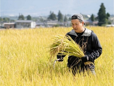 1411【3か月連続お届け】長野県産米コシヒカリ 10kg