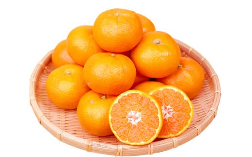 高級ブランド田村みかん　10kg【予約】※2026年11月下旬～2027年1月下旬頃に順次発送予定(お届け日指定不可)【uot505A】