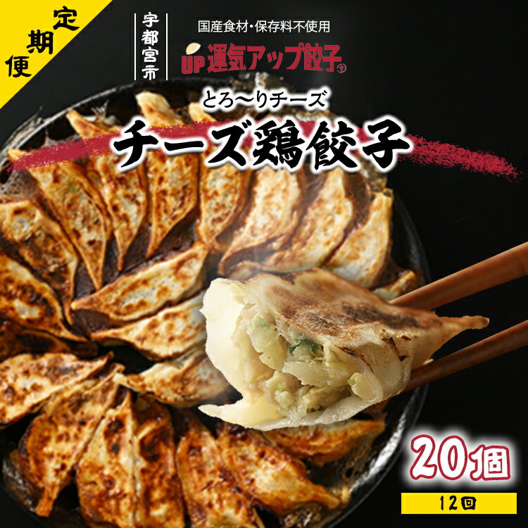 【ふるさと納税】【定期便12回】宇都宮餃子 運気アップ餃子 チーズ鶏餃子20個　保存料不使用【ぎょうざ ギョウザ ギョーザ 冷凍食品 冷凍餃子 惣菜 夜ご飯 おかず おつまみ 手軽 時短 お取り寄せ グルメ 送料無料 栃木県 宇都宮市】※配送不可地域：離島