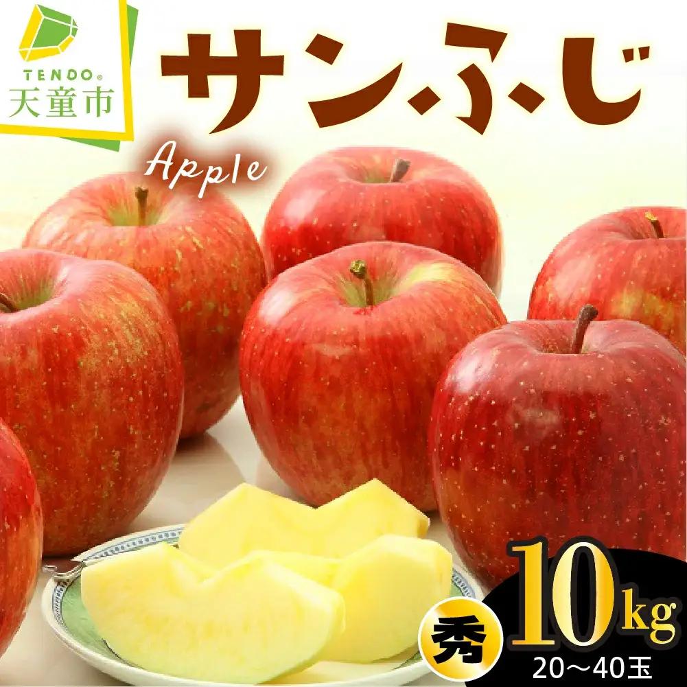  サンふじ りんご 10kg 果物 山形 サンふじ