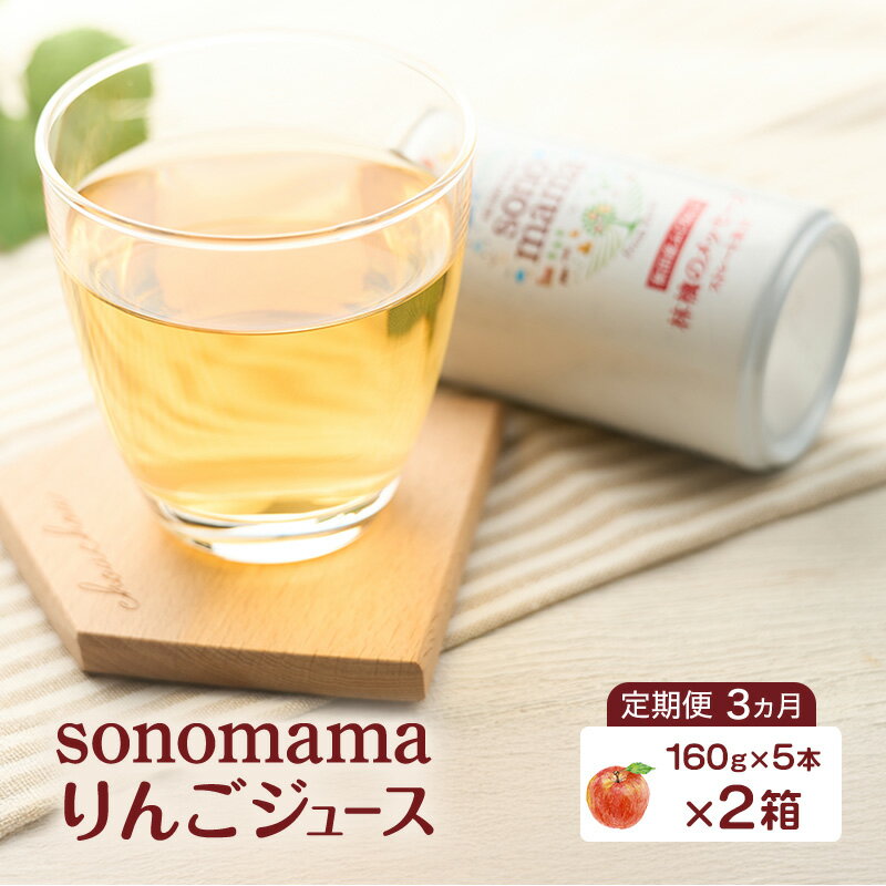 【ふるさと納税】《 定期便 3ヵ月 》 りんごジュース「sonomama」（160g×5本）×2箱 りんご リンゴ ジュース リンゴジュース 飲料