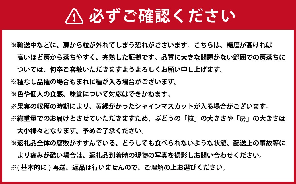 【2025年9月上旬〜11月下旬発送予定】【岡山県産】シャインマスカット約2.0kg  （3～4房）