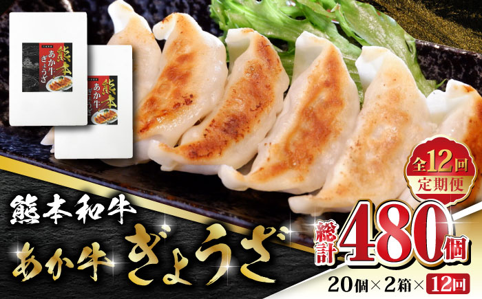 【数量限定】【全12回定期便】熊本和牛 あか牛ぎょうざ 20個×2箱【有限会社 三協畜産】 餃子 ぎょうざ ギョウザ 熊本和牛 和牛 牛  [ZEB092]