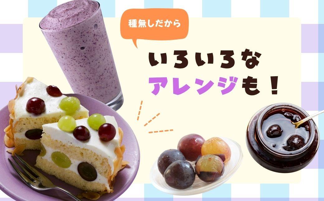 【期間限定】鏡野町産 ピオーネ 2kg（ご家庭用）【004-a029】