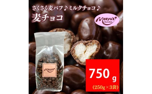 
                  麦チョコ 750g 250gx3袋 4月～10月発送 チョコレート チョコ スイーツ お菓子 おかし  麦 ミルクチョコ  ギフト プレゼント 兵庫県 伊丹市 [№5275-0755]
                