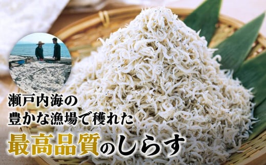 しらす 釜揚げ 800g ( 200g × 4パック ) 冷凍 小分け 約12人前 しらす丼 丼ぶり 魚 さかな ご飯 ごはん 炒飯 チャーハン パスタ スパゲティ サラダ 卵焼き 釜揚げ 釜揚げしら