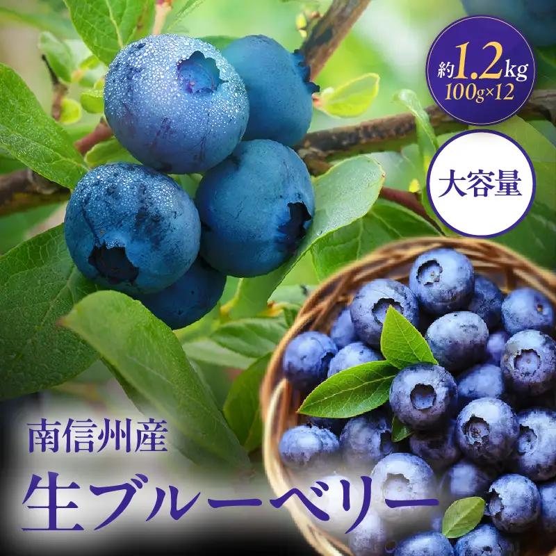 南信州産 生ブルーベリー 約100ｇ × 12パック ＜2026年6月中旬～順次発送予定＞ ＪＡみなみ信州ＤＭセンター ｜ 長野県 飯田市