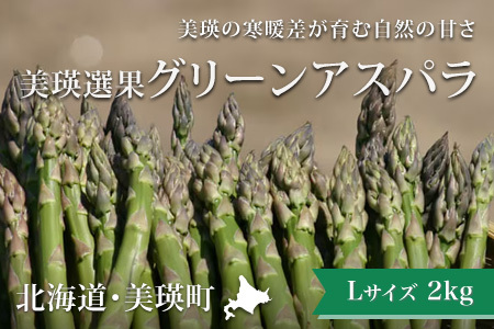 【令和8年産先行予約】 アスパラガス Lサイズ 2kg アスパラガス  [024-59]