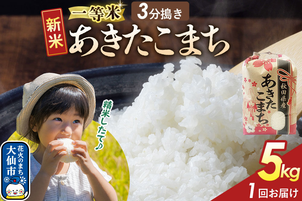 《新米》 【3分搗き】あきたこまち 一等米 5kg 秋田県産 令和8年産 こまちライン 秋田県 大仙市産 [秋田 お米 米どころ あきたこまち こまちライン]