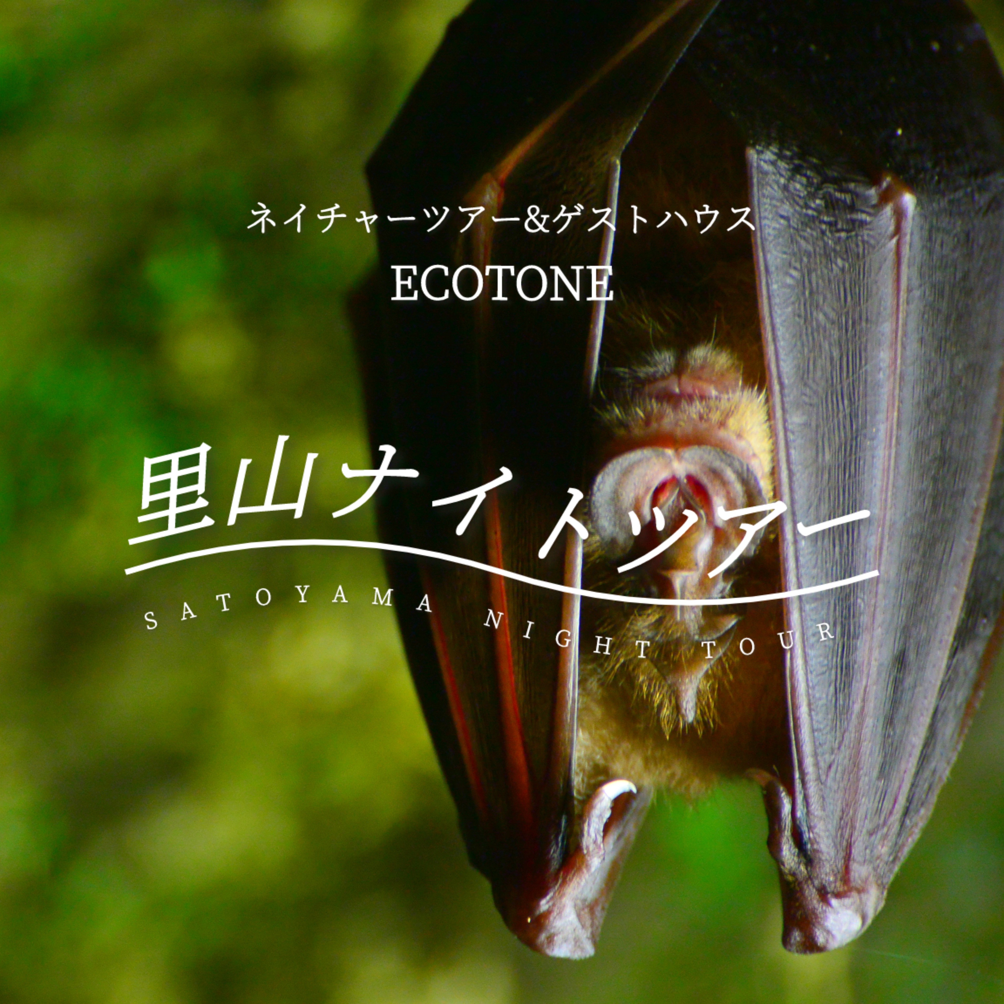 
                  自然体験ツアー参加補助券（1,500円分）　Ecotone
                