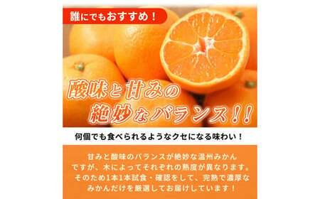【先行予約】紀州有田産 濃厚完熟 温州みかん 5kg 【家庭用 訳あり】 ※2026年11月下旬～2027年1月下旬頃に順次発送予定/ みかん ミカン 蜜柑 温州みかん 柑橘 フルーツ 果物 くだもの