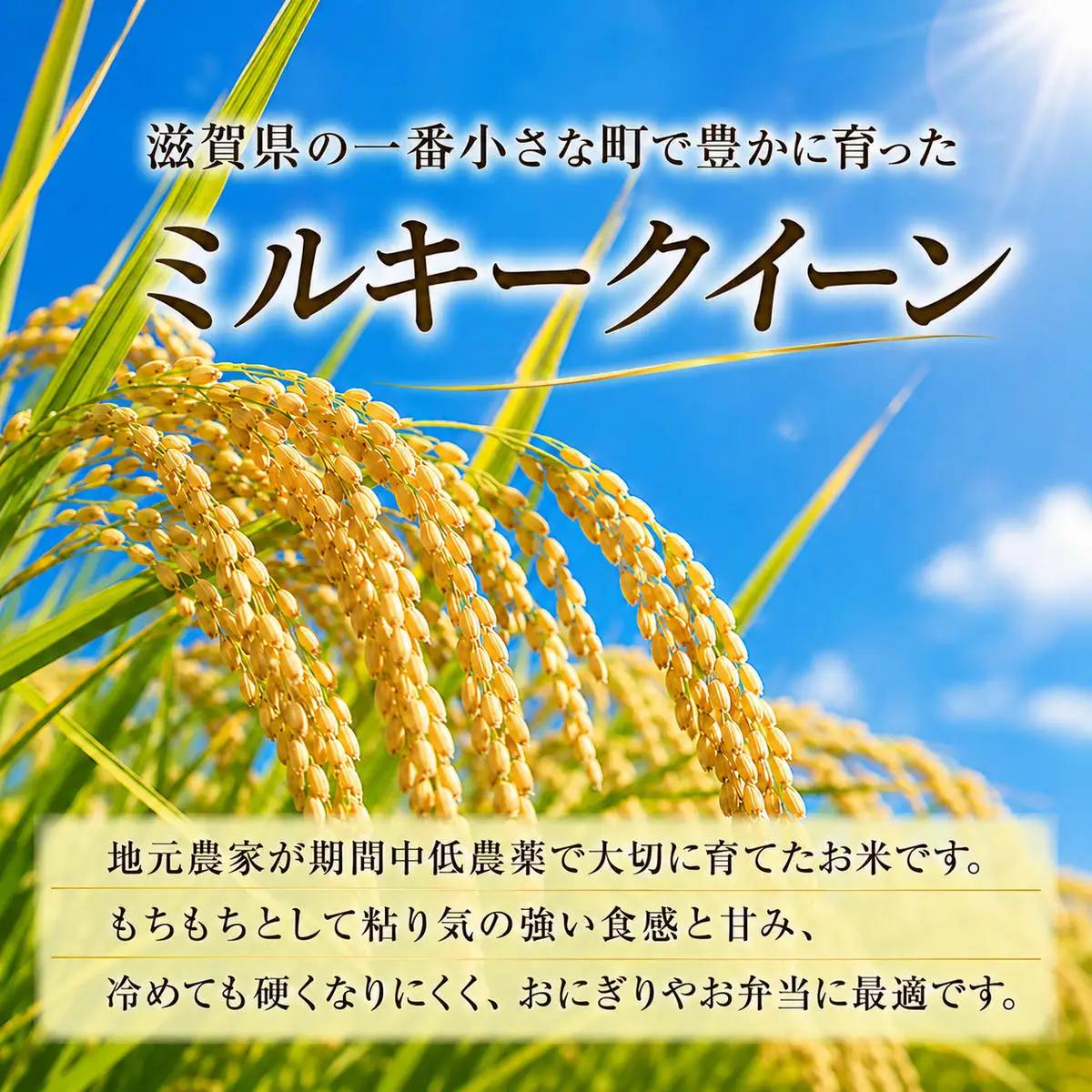 【令和8年産】新米 先行予約 米 定期便 ミルキークイーン 近江米 白米 10kg 10kg×2ヶ月 お米 ごはん ライス 主食 おにぎり 定期 2回 滋賀県 豊郷町