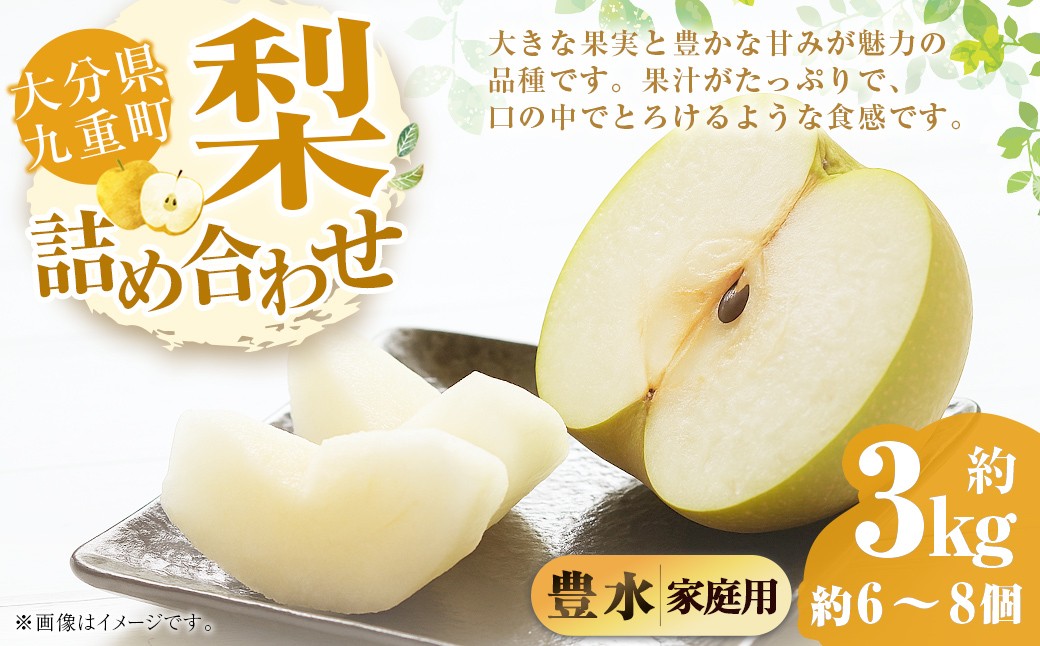 
                  【ご家庭用】 九重町産 豊水 約3kg（約6～8個） なし ナシ   ほうすい  果物 くだもの フルーツ 【2026年8月下旬-2026年9月上旬発送】
                