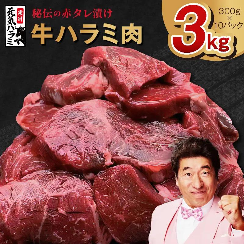 【TVで紹介！】牛ハラミ 総量 3kg タレ漬け 味付き 小分け 300g×10P