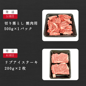 【定期便 全6回】宮崎県西ノ原牧場・なかにし和牛バラエティ定期便（牛肉 黒毛和牛 すき焼き しゃぶしゃぶ 焼肉 赤身 ステーキ 定期便）
