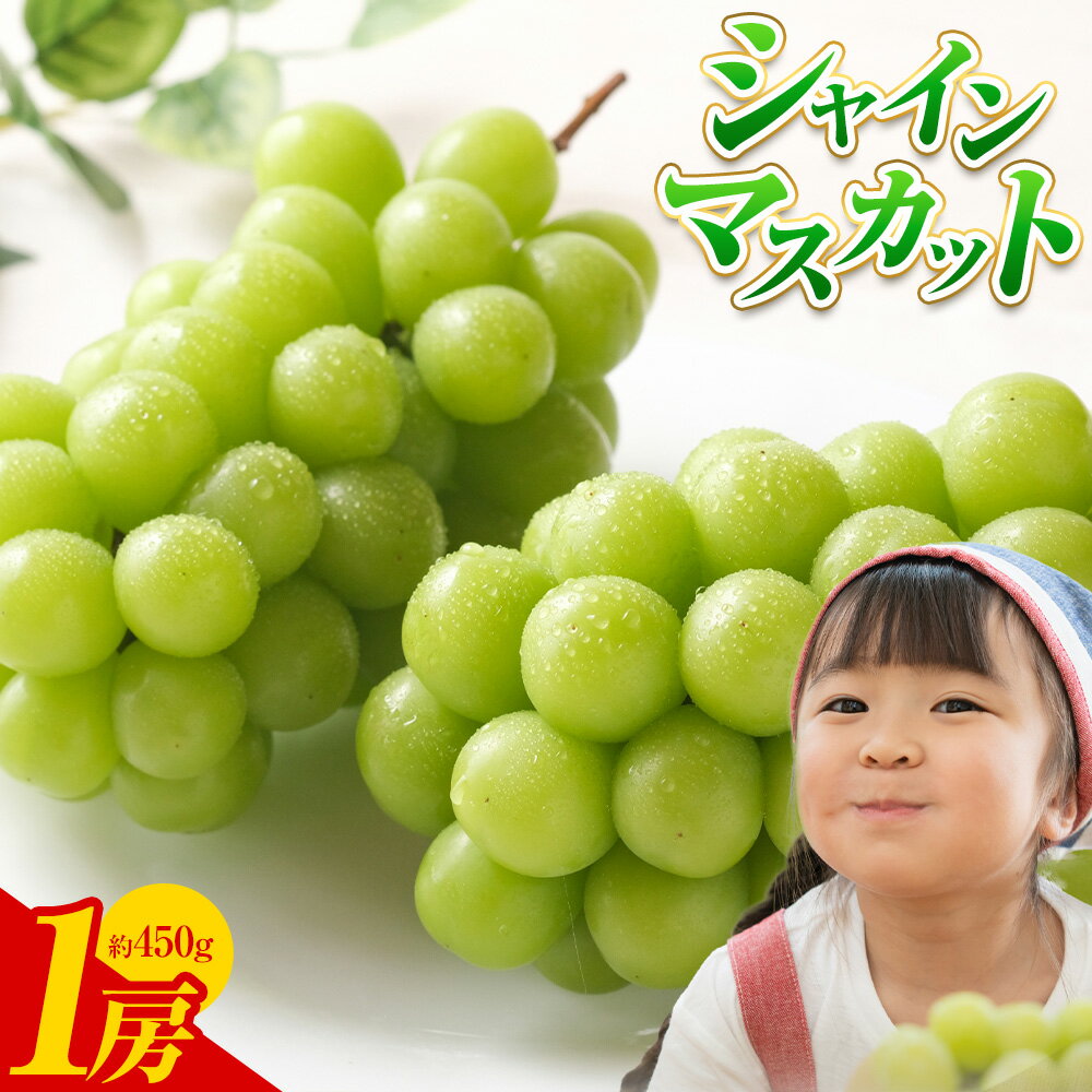 【ふるさと納税】ぶどう シャインマスカット 1房 450g 株式会社ヤマナカ《8月中旬-9月下旬頃出荷》茨城県 結城市 アッシーリス フルーツ 旬 シャイン マスカット 果物 冷蔵便 送料無料