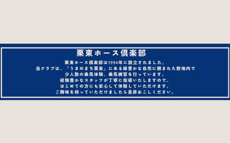 乗馬体験チケット1名様分（20分）初心者 [BIBL001] 乗馬