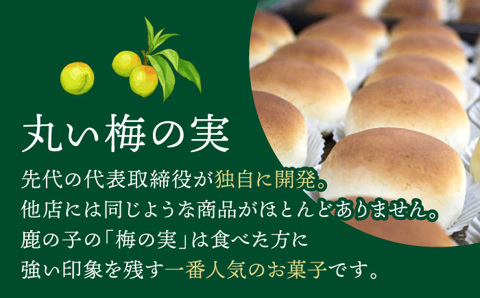 【老舗の菓子屋】築上銘菓「 梅の実 」12 個《築上町》【有限会社 御菓子司 鹿の子】 [ABAC019]